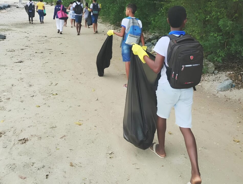 Mutirão recolhe 37 kg de resíduos em praia e manguezal de Ilha de Maré, em Salvador
