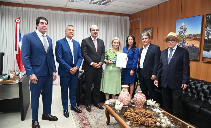 Ivana recebe parecer sobre contas do governo e proposta de mudanças no TCE-BA