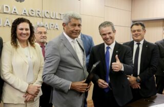 Acordo abre caminho para previsão de safra de cacau na Bahia