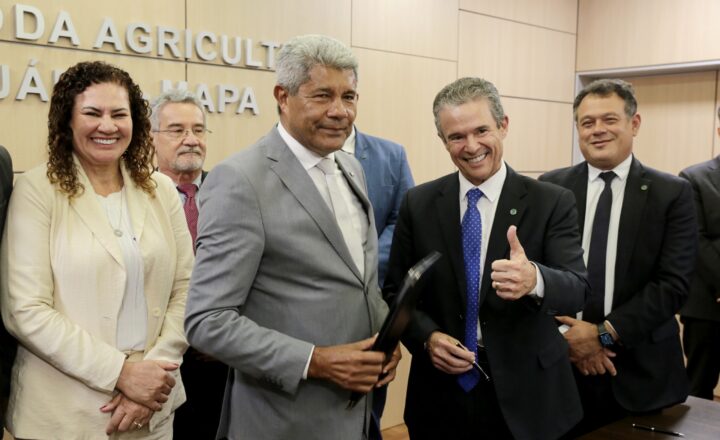 Acordo abre caminho para previsão de safra de cacau na Bahia