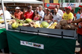 Terra Nova recebe equipamentos agrícolas e tem obra de encosta autorizada