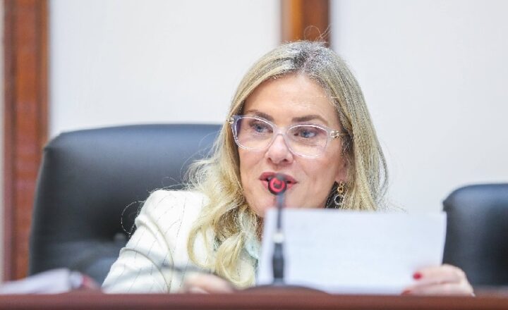 ALBA retoma sessões ordinárias após período eleitoral